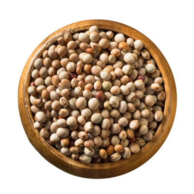 Frijol de Palo